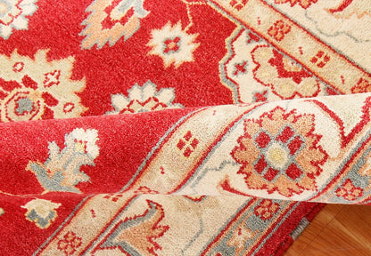 Vibrant Red Traditional Area Rug 6' x 8'