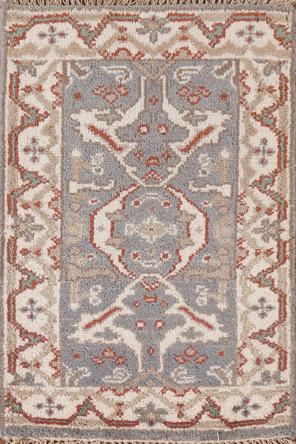 Chic Grey & Beige Traditional Accent Rug (2' x 3')