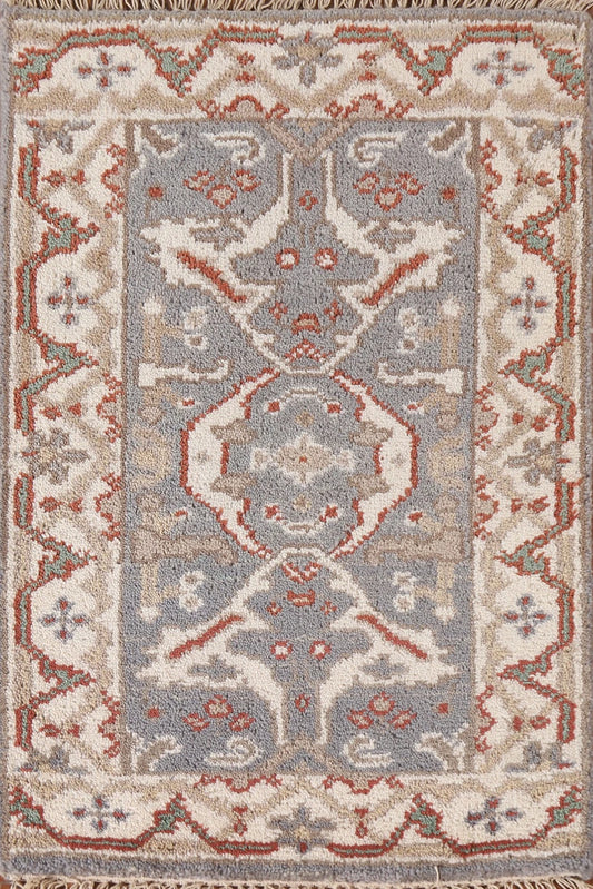 Chic Grey & Beige Traditional Accent Rug (2' x 3')