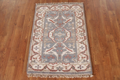 Chic Grey & Beige Traditional Accent Rug (2' x 3')