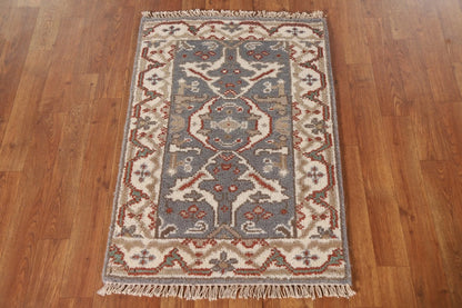 Chic Grey & Beige Traditional Accent Rug (2' x 3')